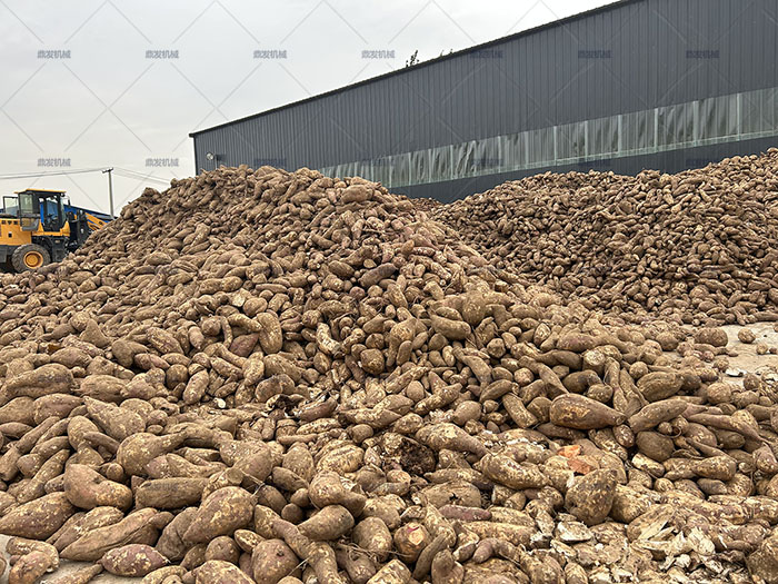 河北大名紅薯淀粉加工 河北大名紅薯淀粉加工